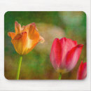 Zoek naar tulpen muismatten Close up