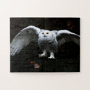 Zoek naar sneeuw uil puzzels Vogel