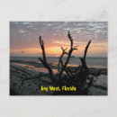 Zoek naar florida keys briefkaarten Tropisch