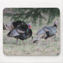 Zoek naar turkey muismatten Wild