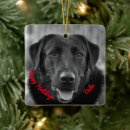 Zoek naar hond verjaardag ornamenten Schattig