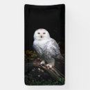 Zoek naar uil spandoeken Vogel