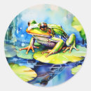 Zoek naar groene kikker stickers Amfibie