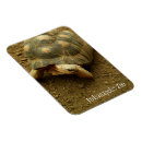 Zoek naar schildpad magneten Schalen