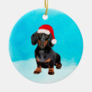 Zoek naar dachshund ornamenten Huisdier