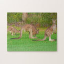 Zoek naar zoogdier puzzels Springen
