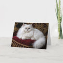 Zoek naar perzische kat kaarten Elk persoon