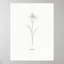 Zoek naar iris bloem posters Voor hem/haar