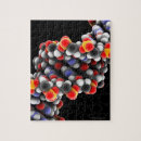 Zoek naar dna puzzels Biologie