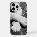 Zoek naar witte tijger iphone hoesjes Foto