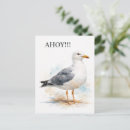 Zoek naar nautilus briefkaarten Kust