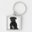 Zoek naar hangen sleutelhangers Hond