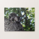 Zoek naar algemeen puzzels Natuurfotografie