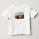 Zoek naar afrikaanse zonsondergang tshirts Landschap