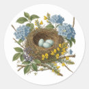 Zoek naar mooie vogel stickers Voor haar