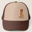 Zoek naar golden retriever petten Huisdier