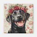 Zoek naar zwarte labrador retriever hond magneten Voor haar