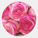 Zoek naar vuur stickers Ijs