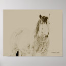 Zoek naar paardenfoto posters Western