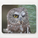 Zoek naar roofvogel muismatten Vogelfoto