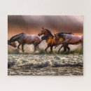Zoek naar paarden puzzels Ieder kind