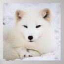 Zoek naar bruine ogen posters Voor hem/haar