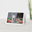 Zoek naar alpacas briefkaarten Humor