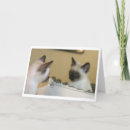 Zoek naar spiegel kaarten Kat