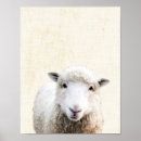 Zoek naar sheeps Ieder kind