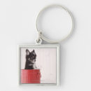 Zoek naar chihuahua honden sleutelhangers Schattig