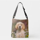 Zoek naar golden retriever accessoires Foto