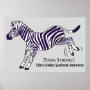 Zoek naar syndroom posters Zebra