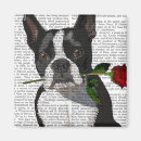 Zoek naar boston magneten Leuke boston terriers