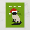 Zoek naar katten humor kaarten Vriend