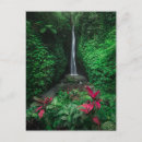 Zoek naar rainforest briefkaarten Waterfall
