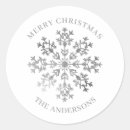 Zoek naar zilveren sneeuwvlokken stickers Elk persoon