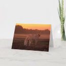 Zoek naar twee paarden kaarten Bob langrish