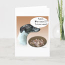 Zoek naar whippet briefkaarten Ras