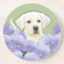 Zoek naar labrador retriever onderzetters Puppy