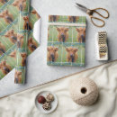 Zoek naar grappige koe cadeaupapier Vee