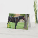 Zoek naar waiting kaarten Paard