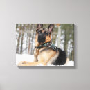 Zoek naar duitse herders canvas prints Sneeuw