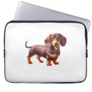 Zoek naar weimaraner hond elektronica Peuk