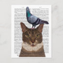 Zoek naar duif briefkaarten Vogels