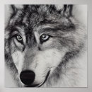 Zoek naar wolf zwart wit posters Natuur