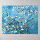 Zoek naar meesters posters Vincent van gogh