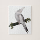 Zoek naar cockatiel puzzels Natuur