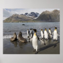 Zoek naar volle zee posters Natuur