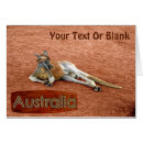Zoek naar kangoeroe briefkaarten Down under