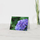 Zoek naar viooltje bloem kaarten Tuin